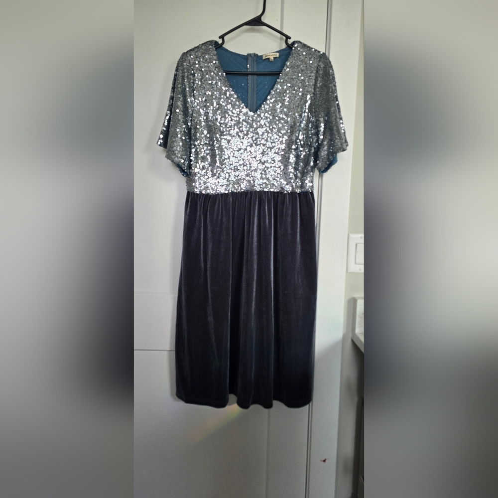 Sequin Velvet Dress